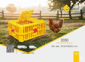 راهنمای جامع: حمل صحیح مرغ زنده با استفاده از قفس پلاستیکی 2050
