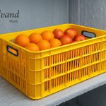 سبد 20 کیلیوی