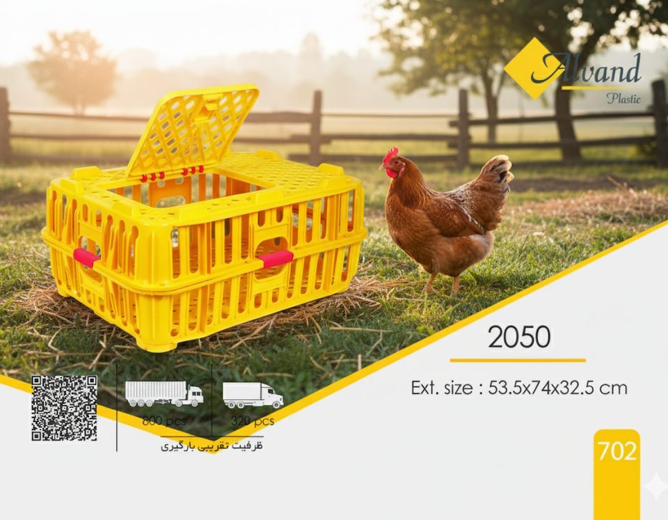 راهنمای جامع: حمل صحیح مرغ زنده با استفاده از قفس پلاستیکی 2050